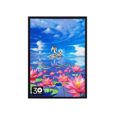 MTG TCG CCG Playing Card Sleeves Game Card Protector Anime Sleeves Dragon Shield