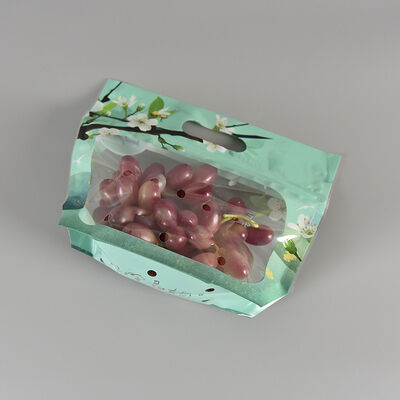 Bolsa de plástico de calidad alimentaria de diseño personalizado Transparente de almacenamiento de frutas y verduras frescas Bolsa de embalaje con manguera de cremallera